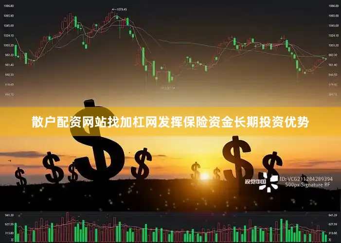 散户配资网站找加杠网发挥保险资金长期投资优势
