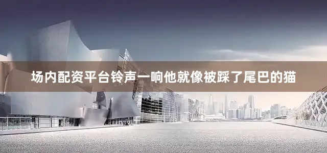 场内配资平台铃声一响他就像被踩了尾巴的猫