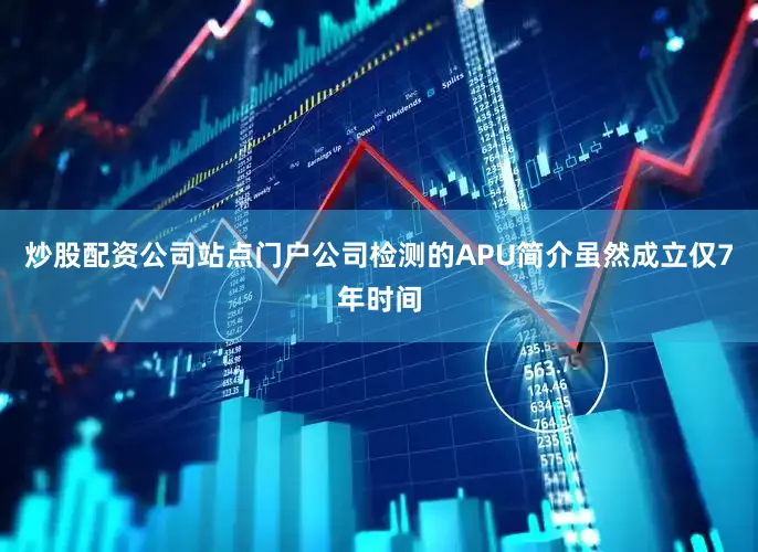 炒股配资公司站点门户公司检测的APU简介虽然成立仅7年时间