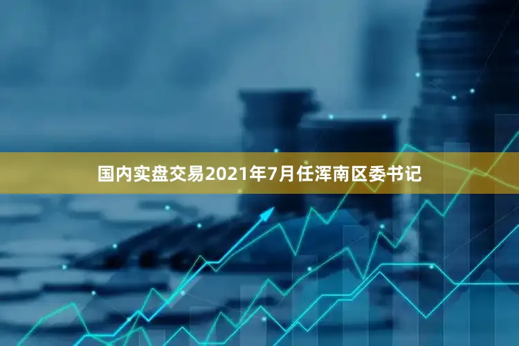 国内实盘交易2021年7月任浑南区委书记