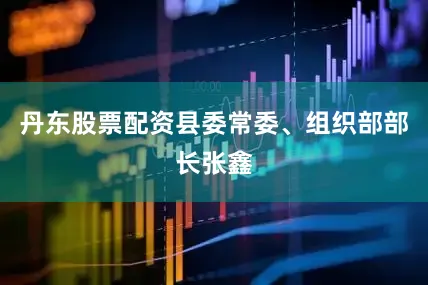 丹东股票配资县委常委、组织部部长张鑫